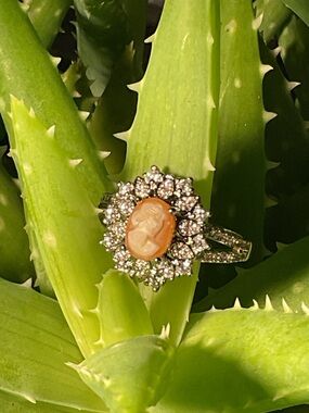 Cameo Hallo Silver Ring 8